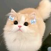 shofia26_414
