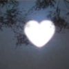 yanecn_777