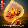 lovepeace6267