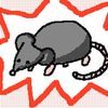 tony_macaroni_the_rat