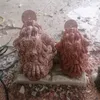 mnh.coc.l