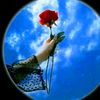 sona.sheikh302