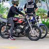 aconglie6