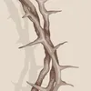 faithwlyd