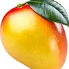 user.mango13
