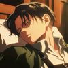 accountownerlevi