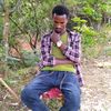 user2127162312