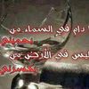 user87366658879371