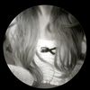 loly_eg8