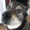 filiphelmer