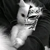 عباس