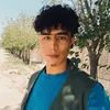 hosseini811