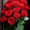 user6817077245536