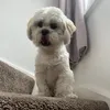 darcyy978