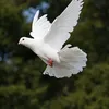 mohamed.tahar03