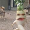 l_maya4