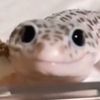 kimalina12345