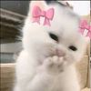 .its.alfy