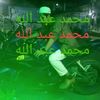 user837587514