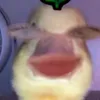tiktok.cn316