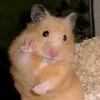 d.con.thch.nui.ch