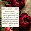 user9505537878438