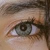 areeshaareesha273