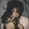 noahsvneves