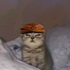 lopeyoutooooo_