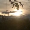 teman_hijramu