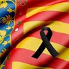 toni_m_nuevo