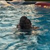 brook12387_