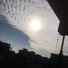 melileli33