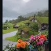 shaymaaljubri