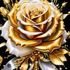 user5910201121717