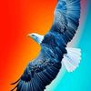 user10461992362032