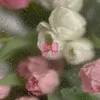 user3720012091816