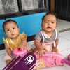 pratama25661