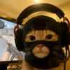 akoonr6