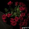 salma.mohammed516