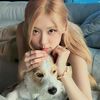 rose_jisa10