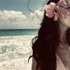 hessa7823