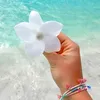rotina._66