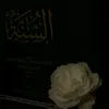 mussayousef7