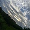 johan_10364