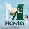 msmewish.g