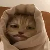 r4m4d4n_16