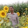 user4708181211277
