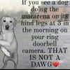 random.account9744