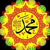 zrari971